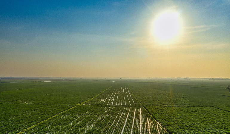 Attenzione al caldo: stop alle attività nei cantieri, in agricoltura e nel florovivaismo